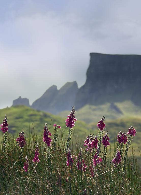 Storr Apartments Portree Zewnętrze zdjęcie